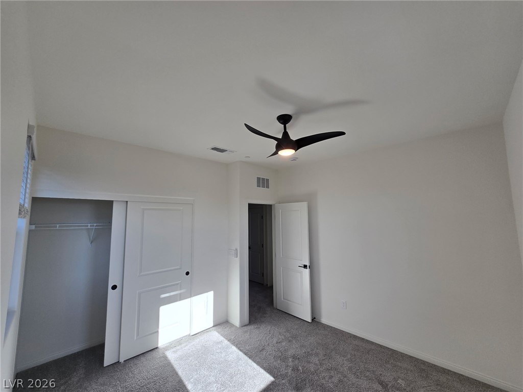 1505 Little Penguin Street