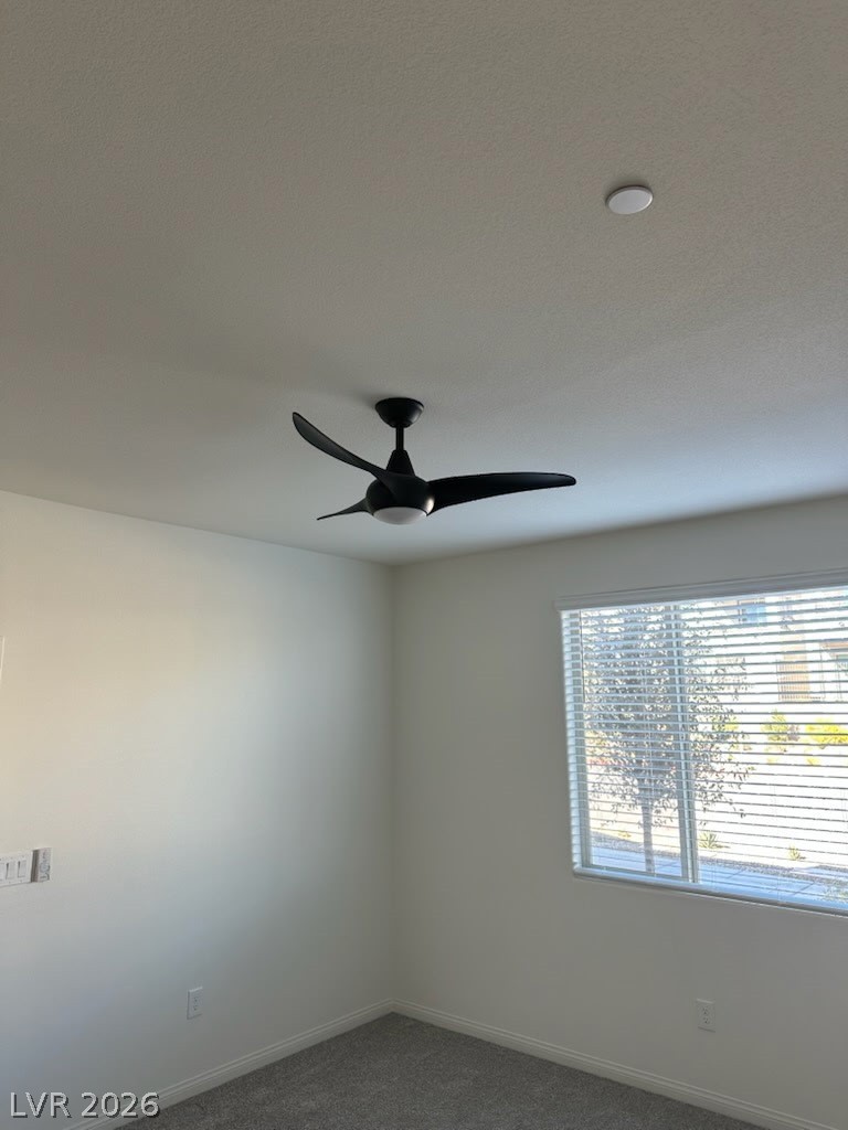 1505 Little Penguin Street