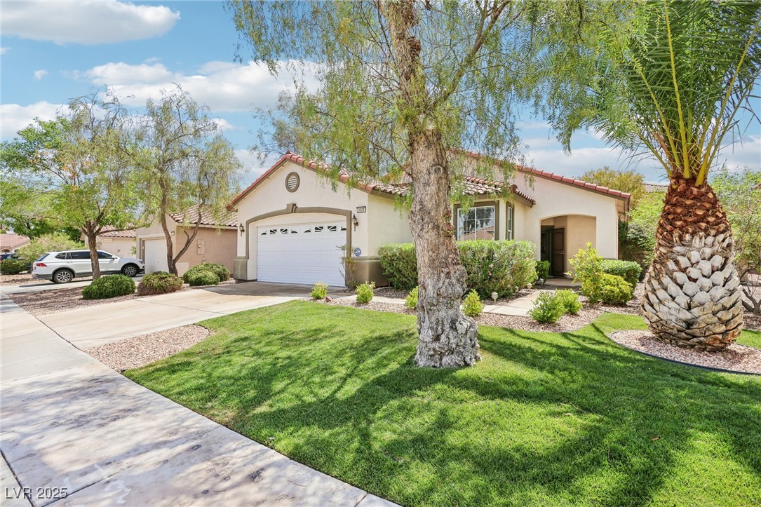 3029 Paseo Hills Way