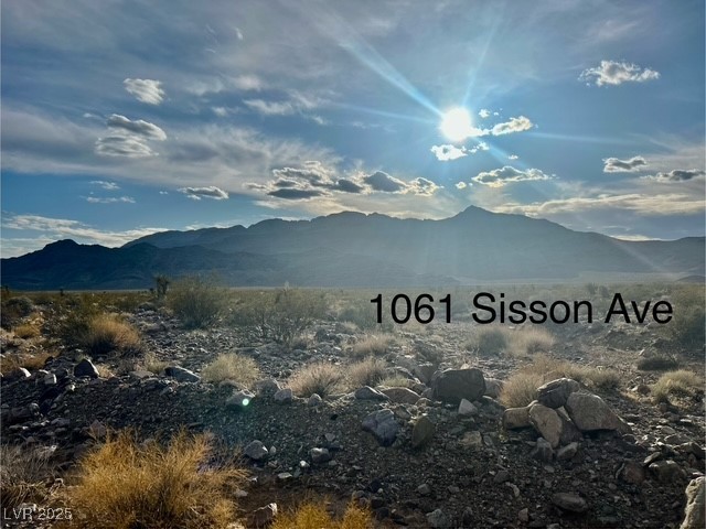 1061 W Sisson Ave, Pahrump, Nevada image 1