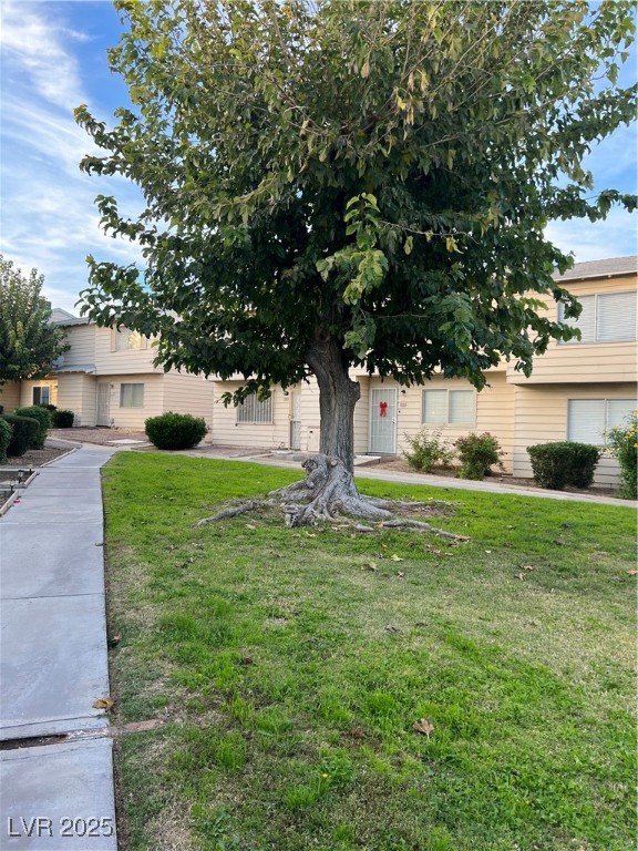 5002 Larkspur Street