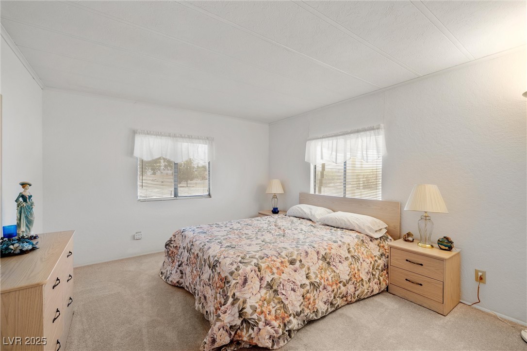3841 N Dart Drive, Pahrump, Nevada image 19