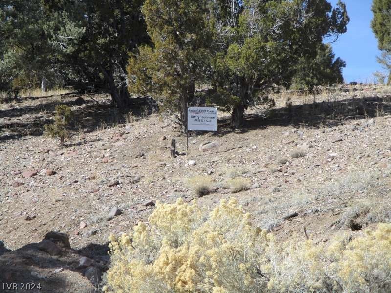 Nevada Hwy 322 (13.753 Ac), Pioche, Nevada image 10