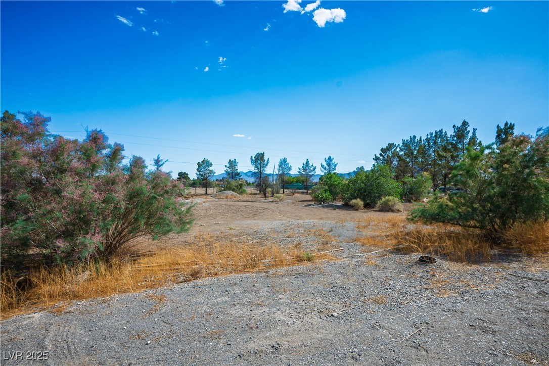 1351 Fawn Street, Pahrump, Nevada image 5