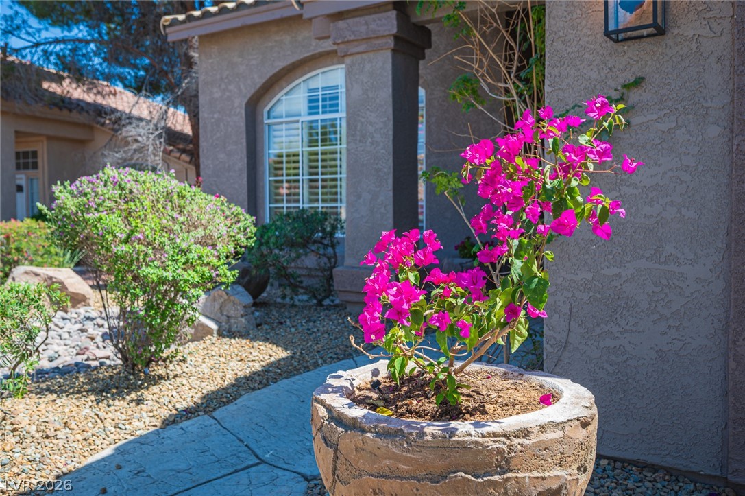 2037 Pinion Springs Drive