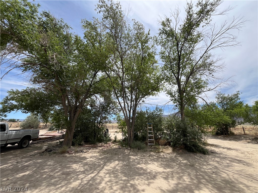 585 Billy Wright Road, Dyer, Nevada image 24