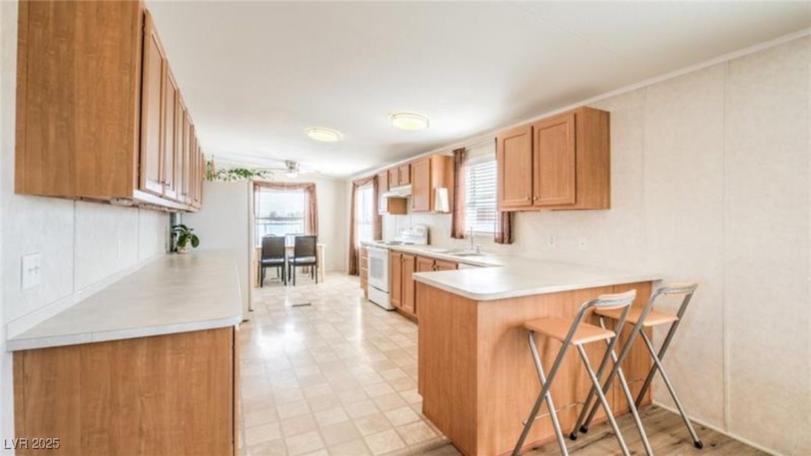 3611 W Horn Road, Pahrump, Nevada image 11
