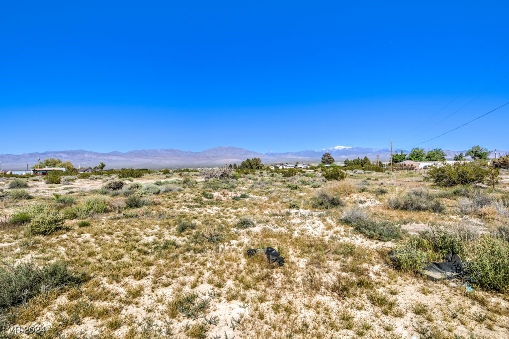 970 E Gamebird Road, Pahrump, Nevada image 11