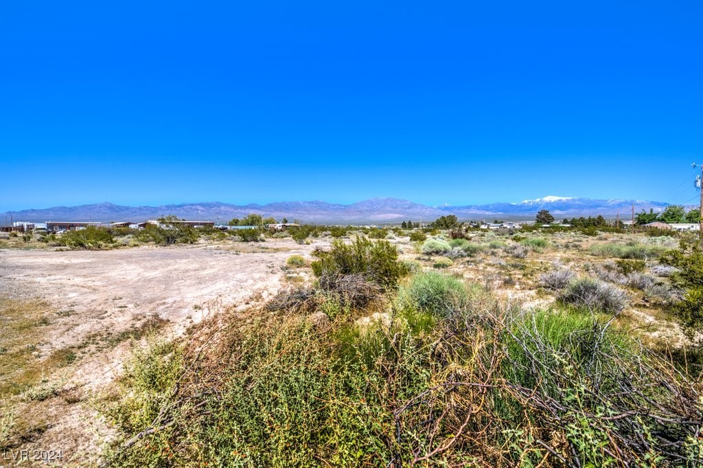 970 E Gamebird Road, Pahrump, Nevada image 10