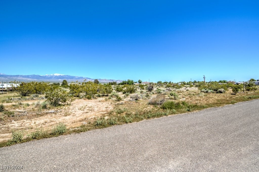 970 E Gamebird Road, Pahrump, Nevada image 7