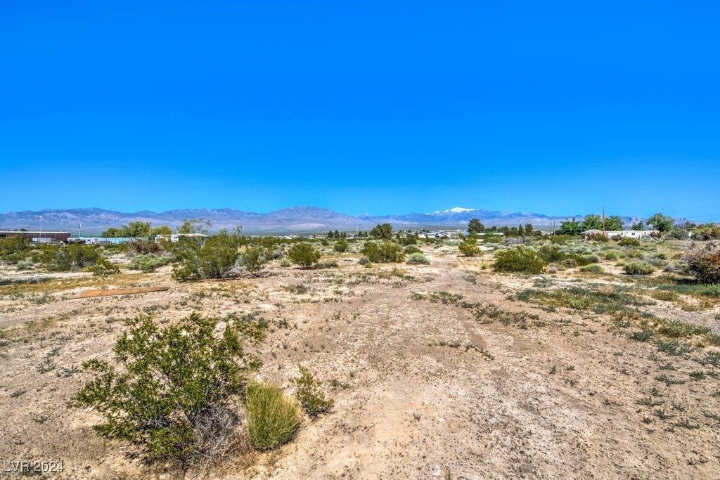 970 E Gamebird Road, Pahrump, Nevada image 4