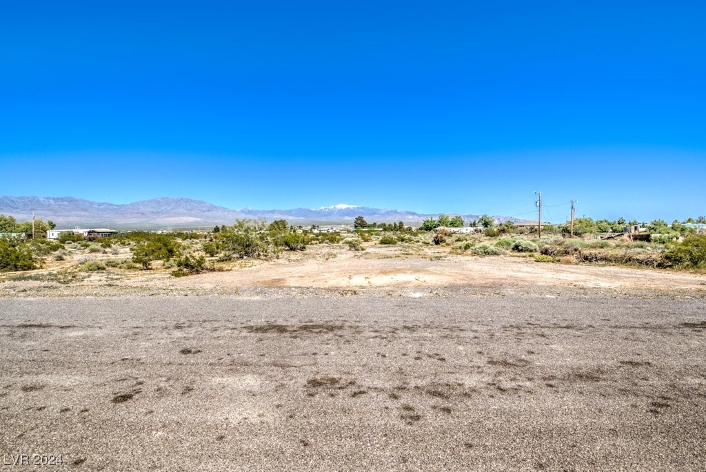 970 E Gamebird Road, Pahrump, Nevada image 9