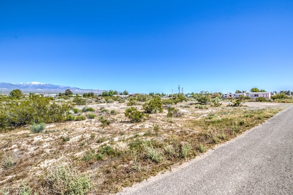 970 E Gamebird Road, Pahrump, Nevada image 6