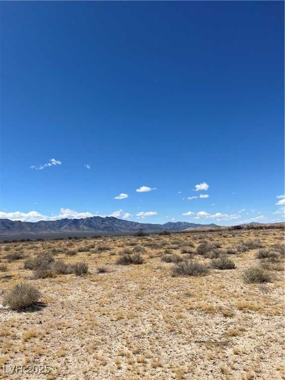9930 S Raymond Street, Pahrump, Nevada image 9