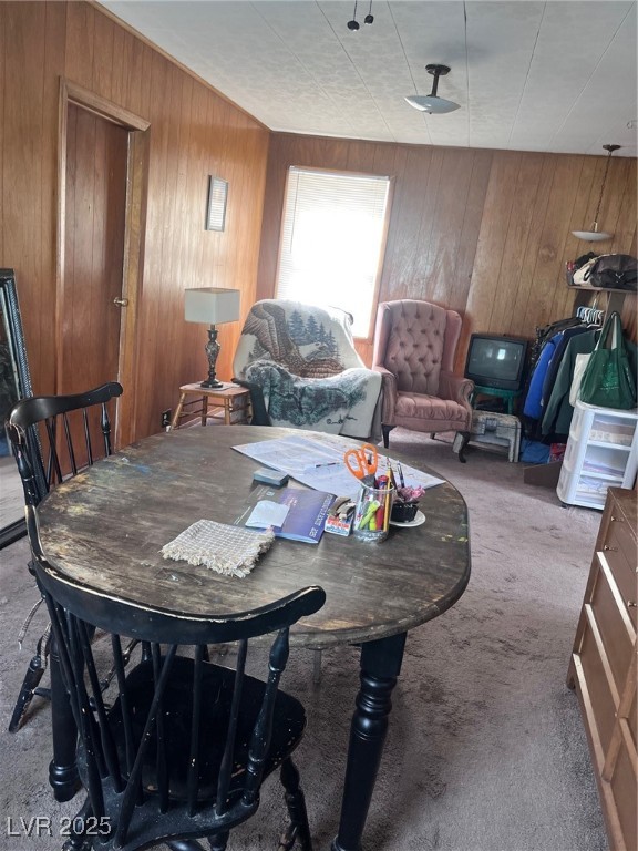 1121 Lyons Ave Ave, Ely, Nevada image 8