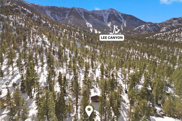 2130 VIA VITA ST, MOUNT CHARLESTON, NV 89124 - Image c532cd17fae0dfed0a065592b59b5bcd/1728046924