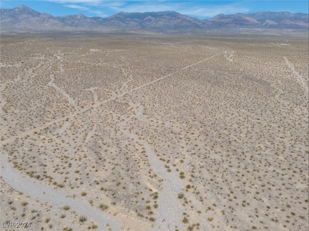 1401 W Coral Road, Pahrump, Texas image 7