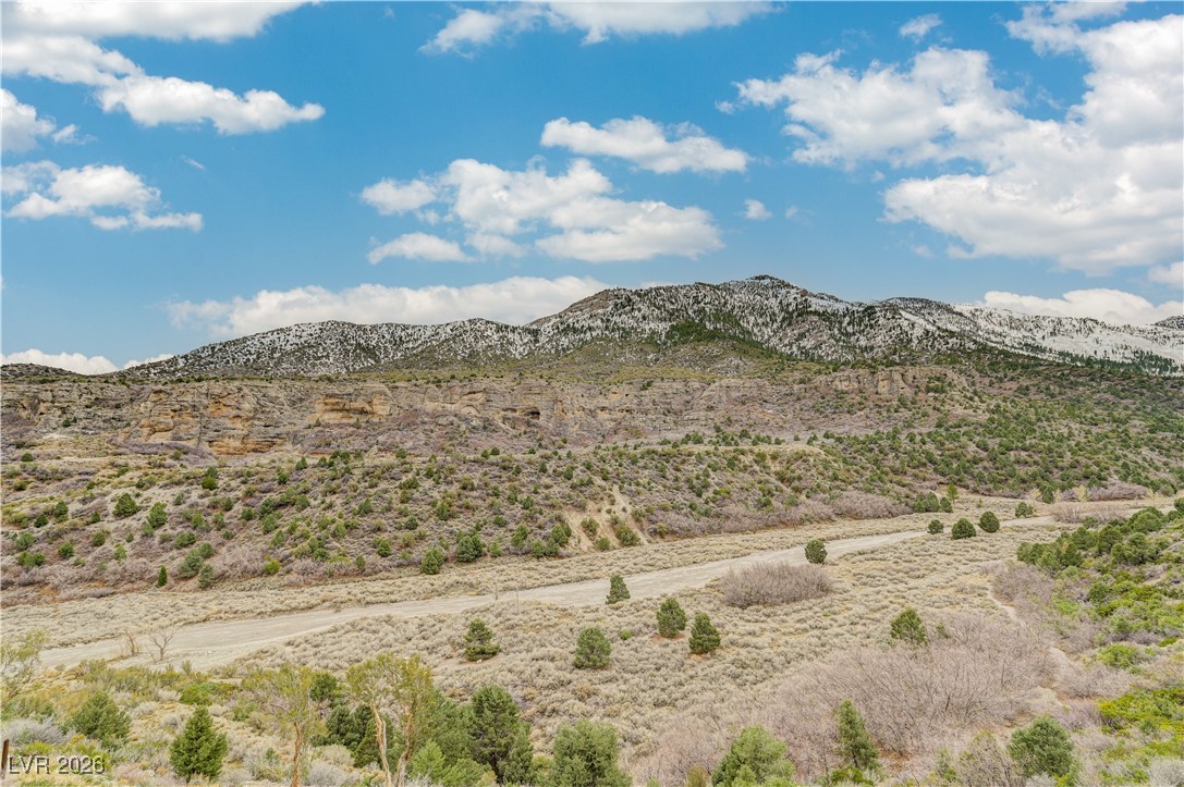 2650 Daines Drive 101