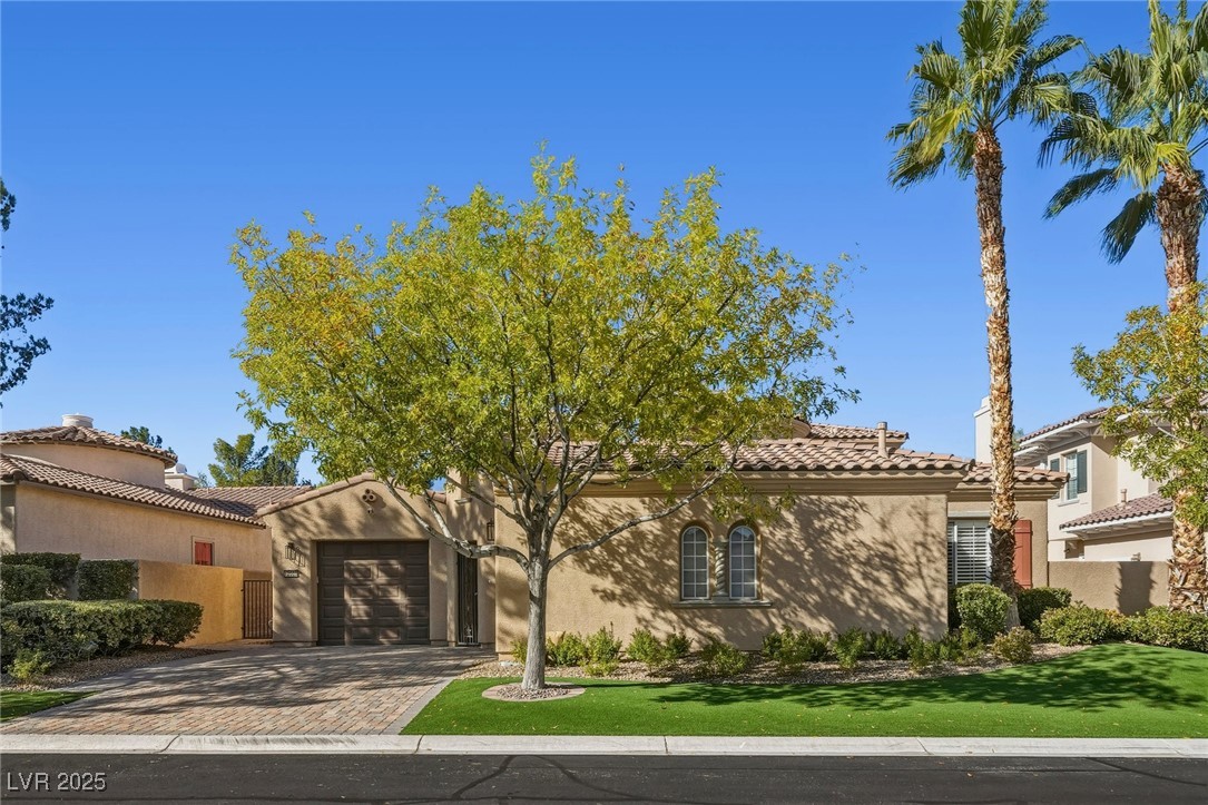 12005 Whitehills Street