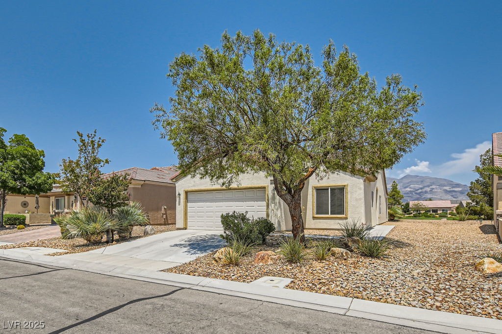 2220 Carrier Dove Way