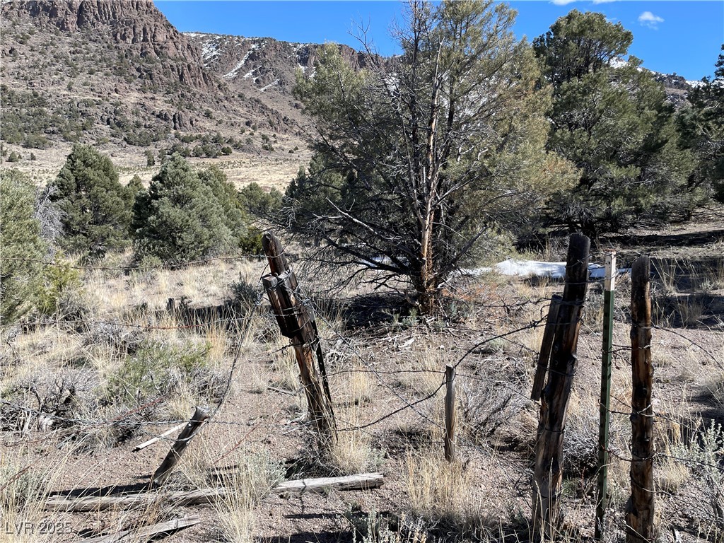 P-19 Butte Valley, Ely, Nevada image 2