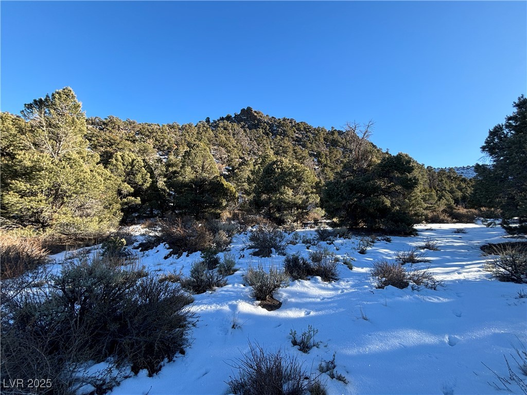 P-19 Butte Valley, Ely, Nevada image 1