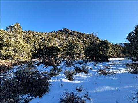 Vacant Land For Sale - P-19 Butte Valley<br/> White Pine County, Ely, NV 89301