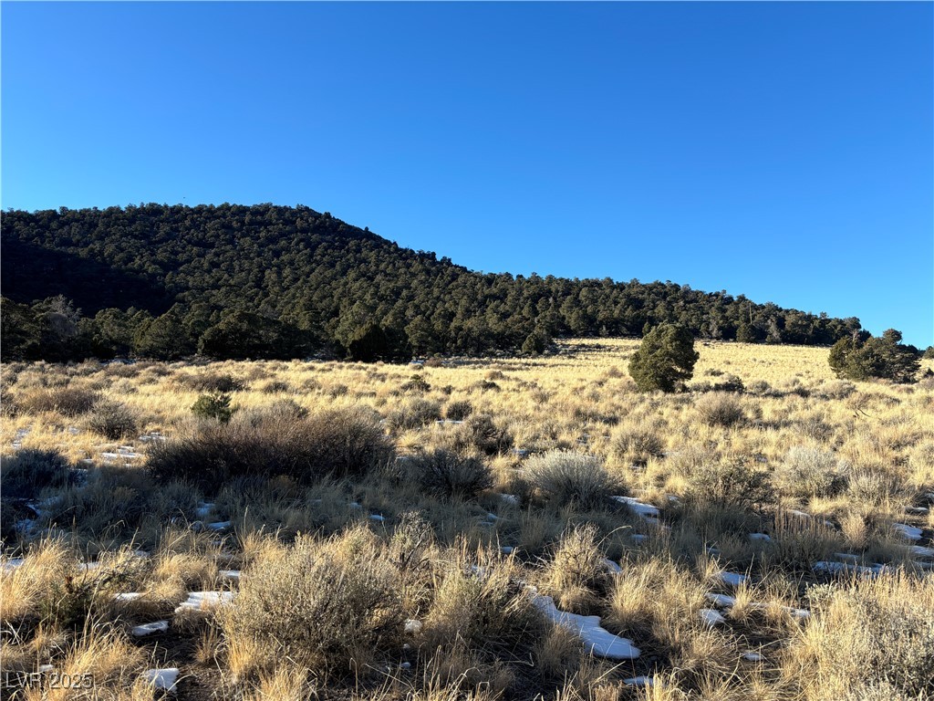 P-19 Butte Valley, Ely, Nevada image 3