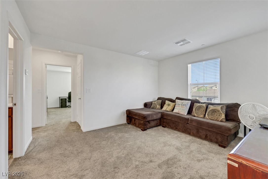 2849 Mincio Street, Henderson, Nevada image 25