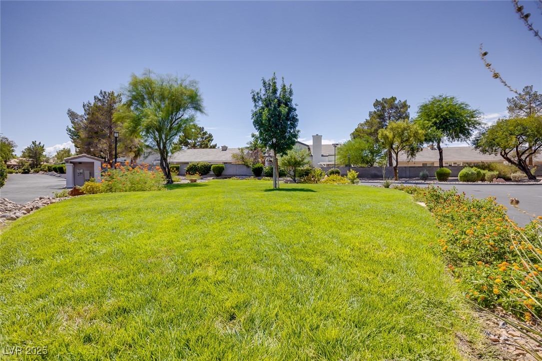 256 Garfield Drive, Henderson, Nevada image 49