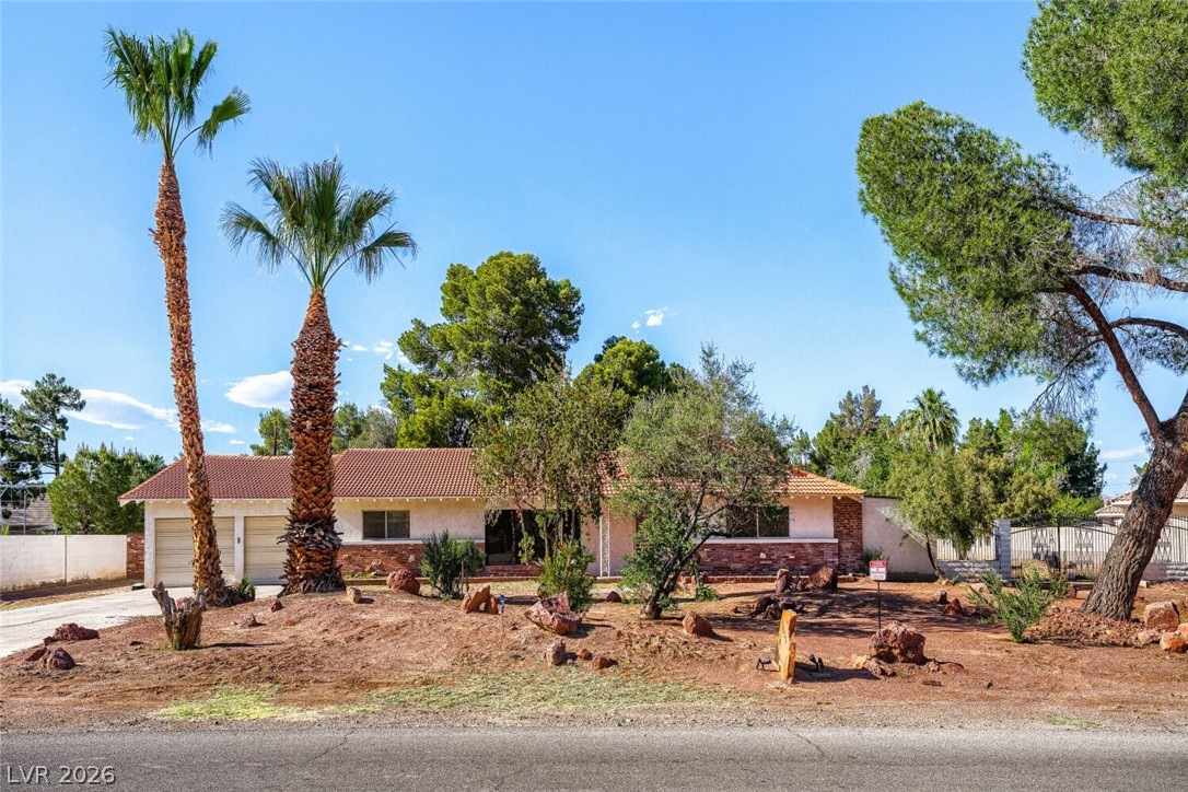 3620 Pama Lane