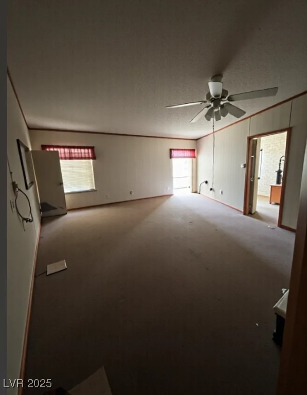 3050 Van Lane, Pahrump, Nevada image 11