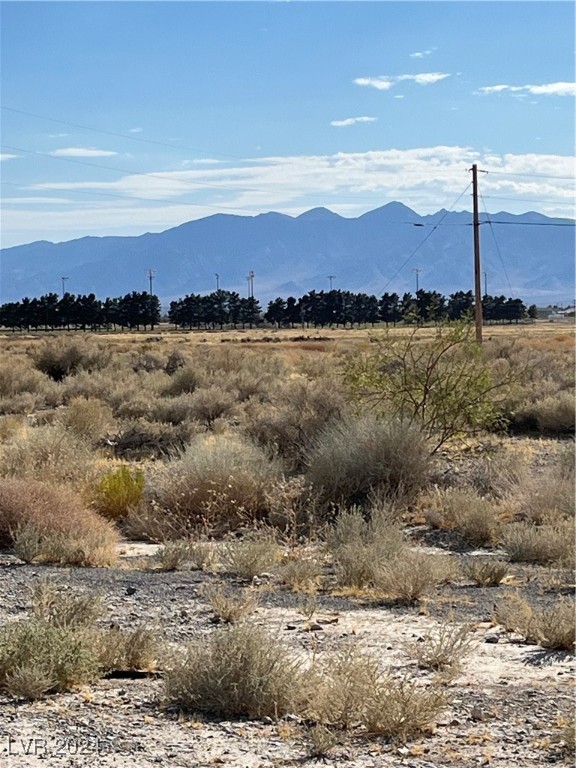 1000 Delaware Street, Pahrump, Nevada image 16