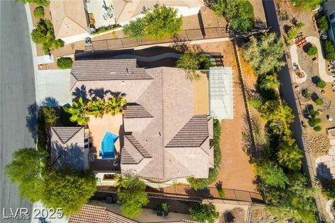 3029 Brownbirds Nest Drive Henderson NV 89052