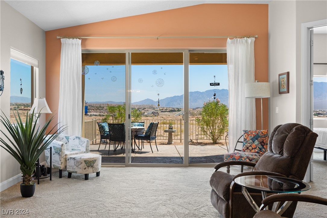 260 Haley Way #138, Mesquite, Nevada image 32