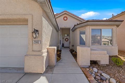 2902 Desert Zinnia Lane Las Vegas NV 89135