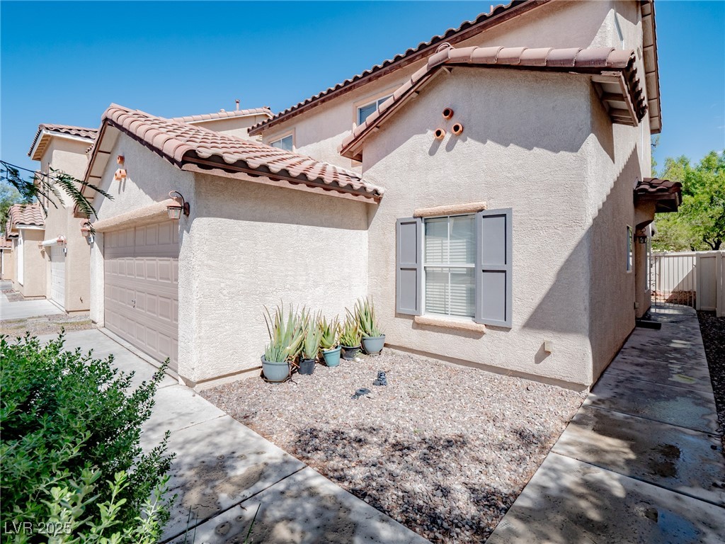 11038 African Sunset Street