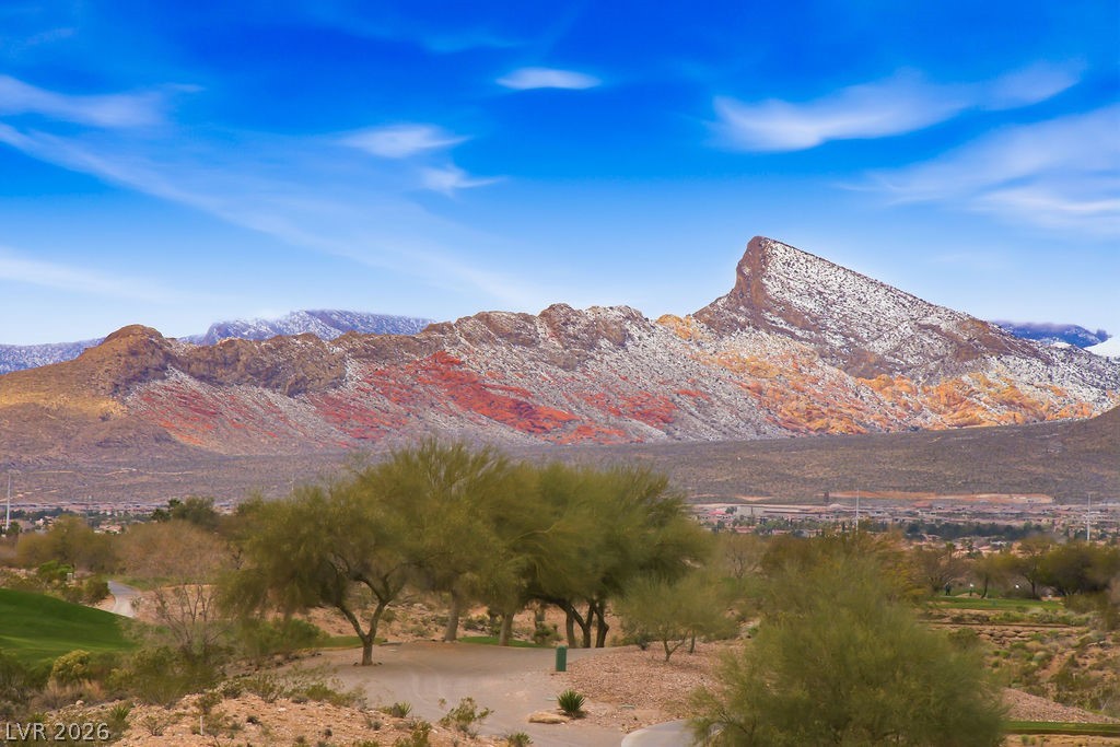 9224 Tesoras Drive 301