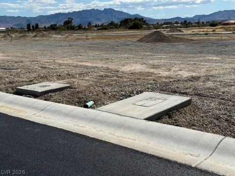 Tiny photo for S TAHYA RIVER Court, Pahrump, NV 89048 (MLS # 2787014)