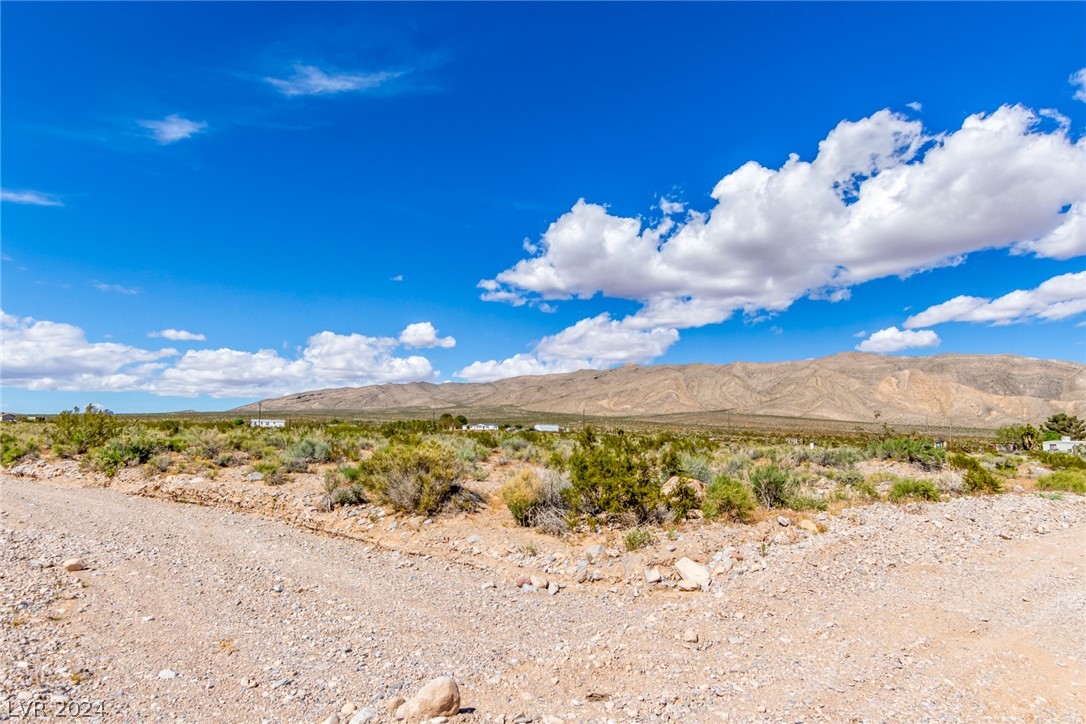 View Goodsprings, NV 89019 property