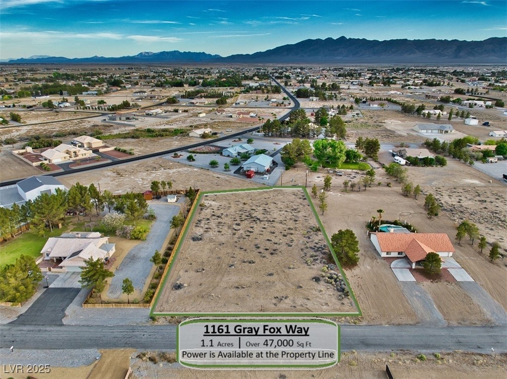 1161 Gray Fox Way, Pahrump, Nevada image 1