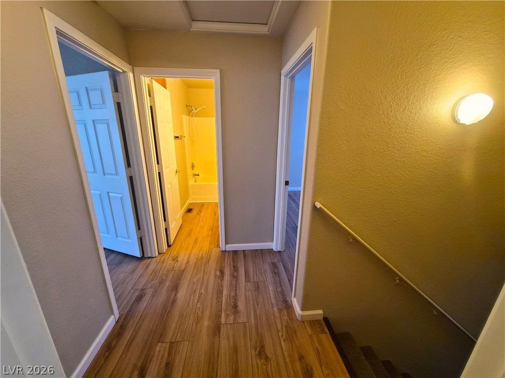 1481 S DANDELION 3