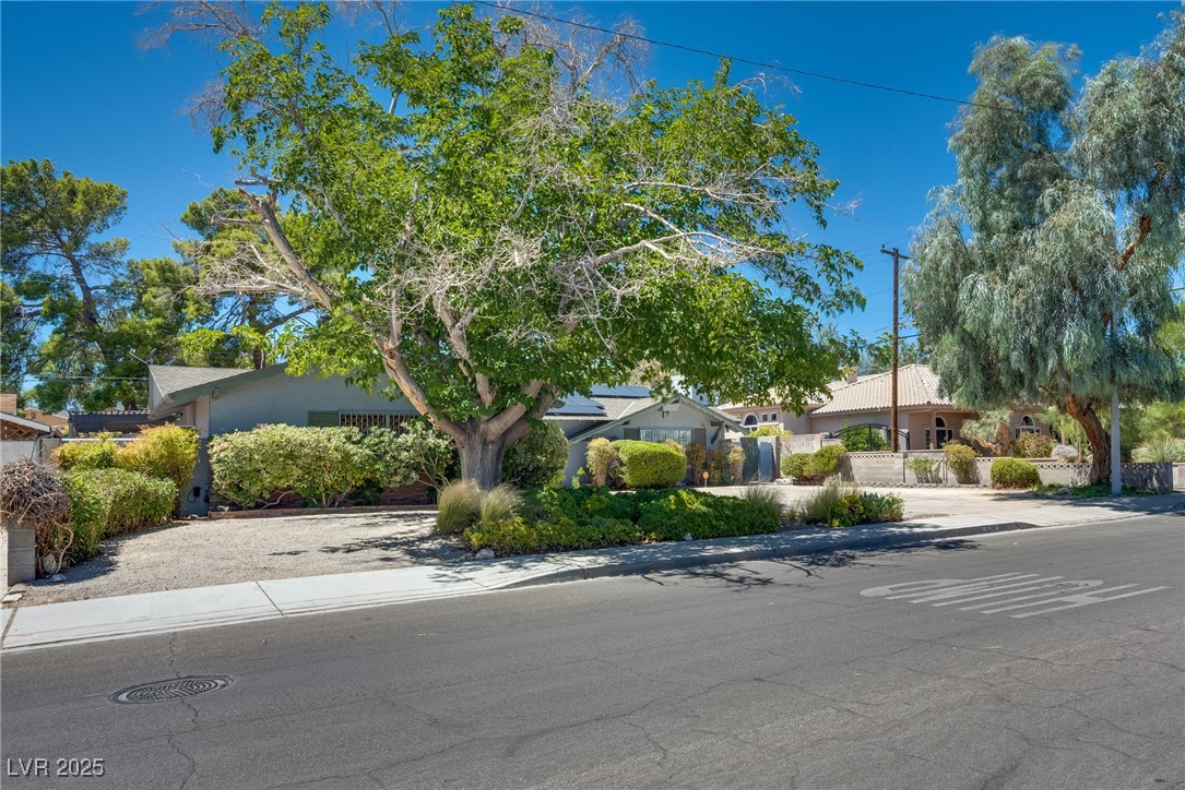 1238 Campbell Drive
