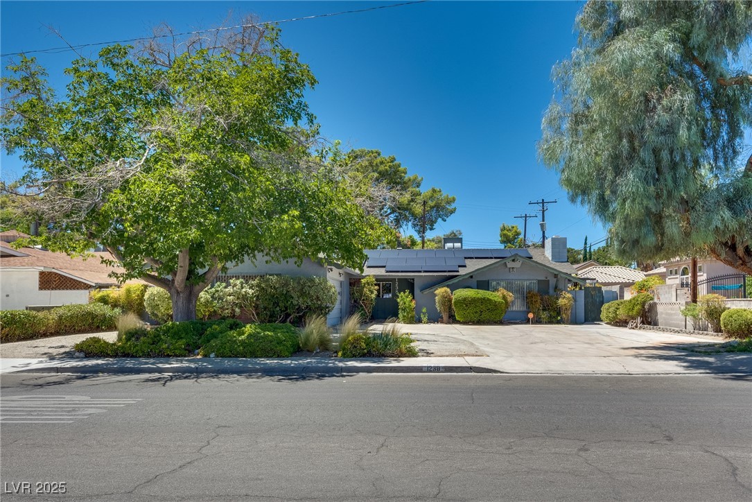 1238 Campbell Drive