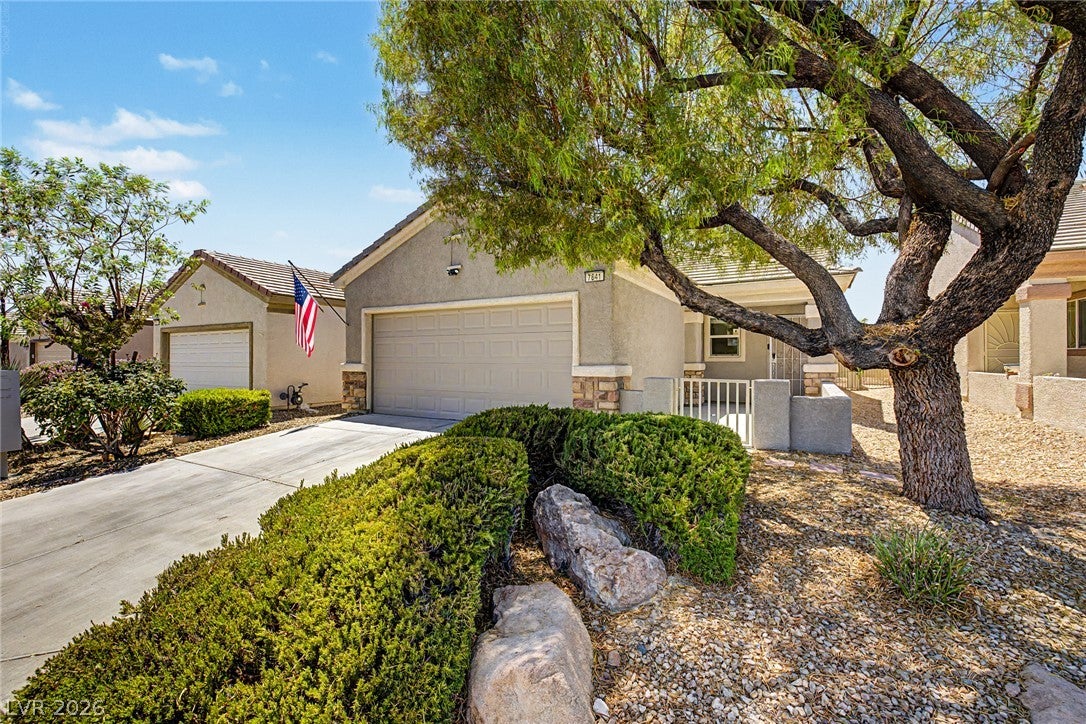 7841 Lily Trotter Street