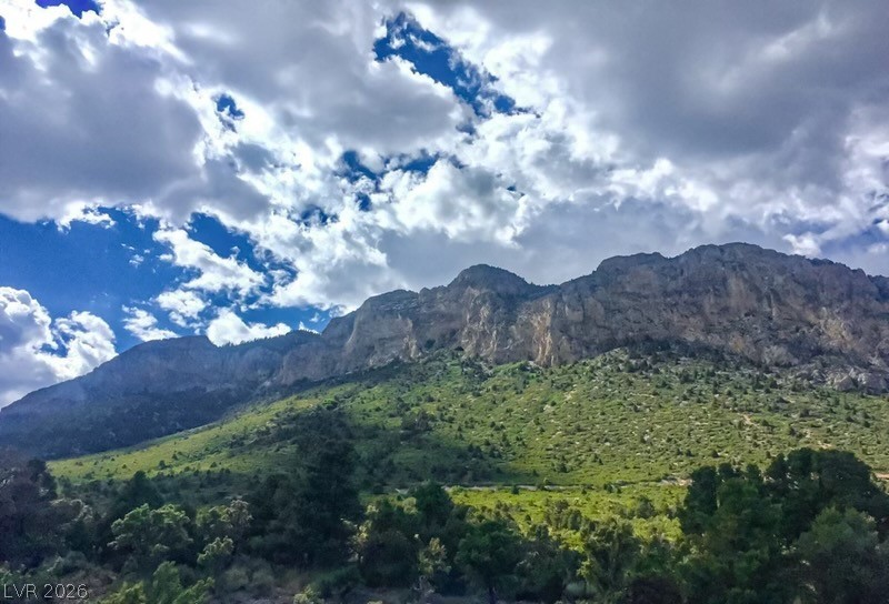 2640 Daines Drive 101