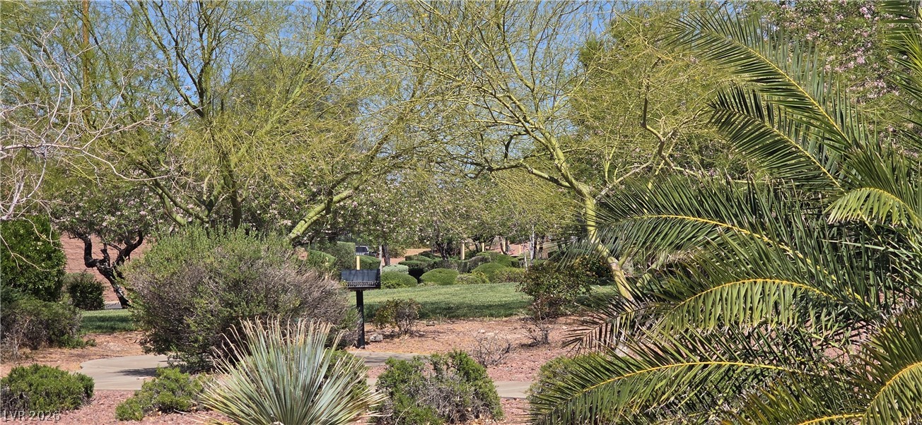 67 Desert Coyote Street