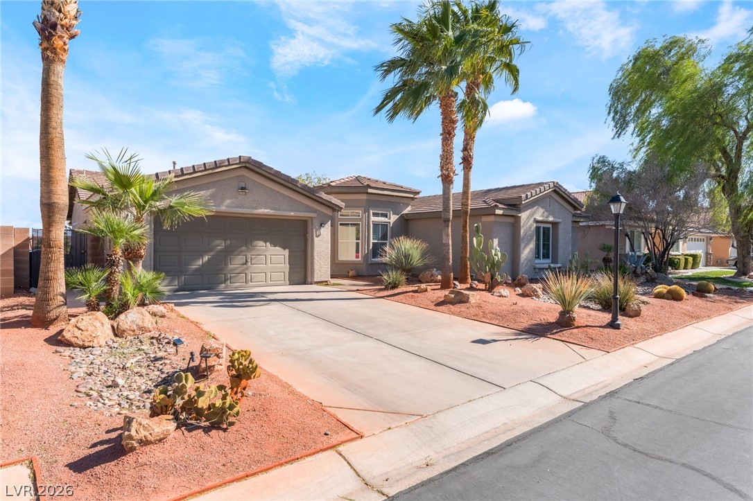 8416 Willow Cabin Street