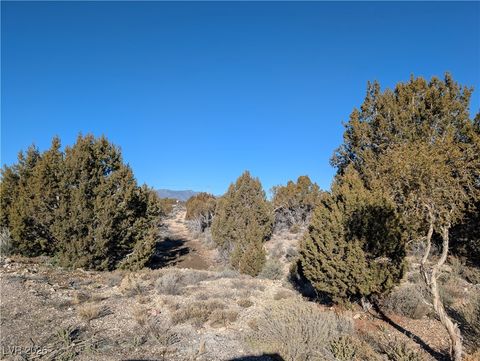 Vacant Land For Sale - Ponderosa Pine<br/> Lincoln County, Pioche, NV 89043