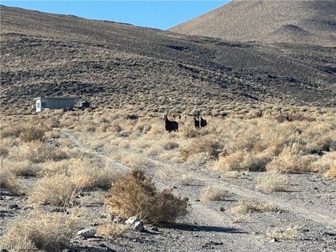Tiny photo for 0 SAND SPRINGS Road, Dyer, NV 89010 (MLS # 2761725)